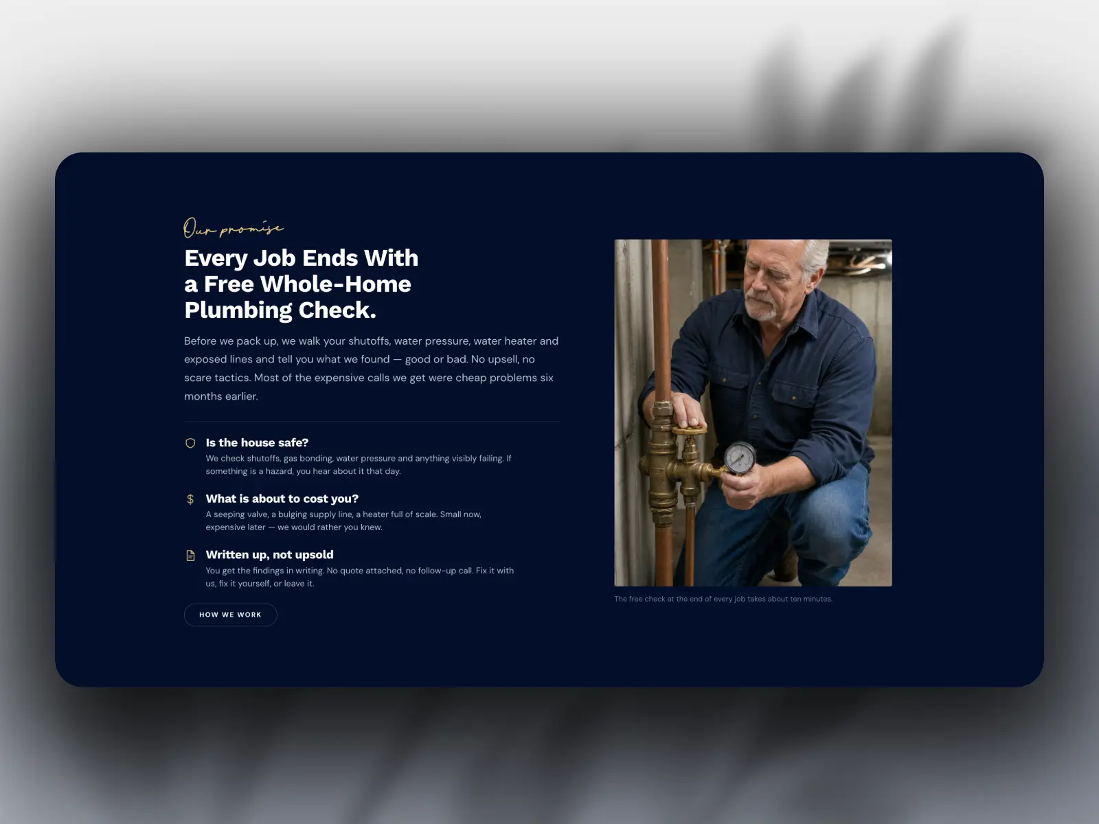 Flow's Plumbing free whole-home plumbing check promise section